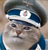 Создать мем КОТ агент ЛЮФТВАФЕ