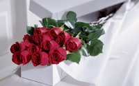 Создать мем Квіти