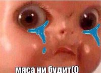 Создать мем Мяса ни будит0