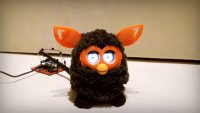 Все мемы Open furby