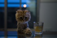 Создать мем Ьрарь