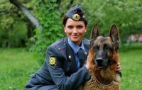 Создать мем Трололо