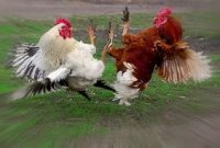 Создать мем Вейп