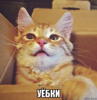  уёбки