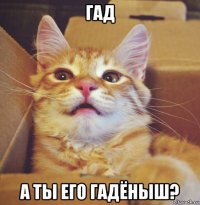 гад а ты его гадёныш?