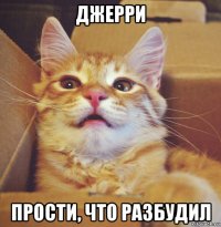 джерри прости, что разбудил