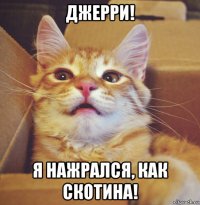 джерри! я нажрался, как скотина!