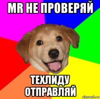 mr не проверяй техлиду отправляй