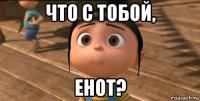 что с тобой, енот?