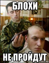 блохи не пройдут