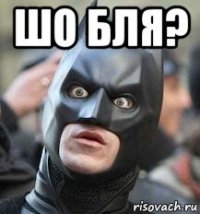 шо бля? 