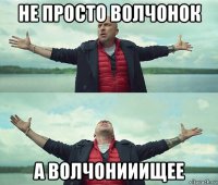 не просто волчонок а волчонииищее