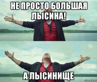 не просто большая лысина! а лысинище