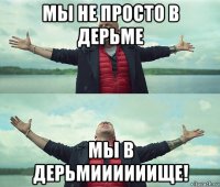 мы не просто в дерьме мы в дерьмиииииище!