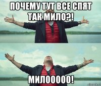 почему тут все спят так мило?! милооооо!