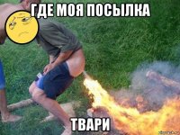 где моя посылка твари