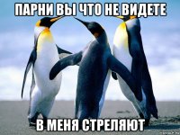 парни вы что не видете в меня стреляют