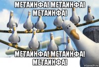 метаинфа! метаинфа! метаинфа! метаинфа! метаинфа! метаинфа!