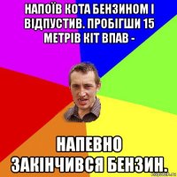 напоїв кота бензином і відпустив. пробігши 15 метрів кіт впав - напевно закінчився бензин.