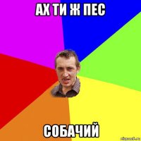 ах ти ж пес собачий