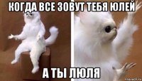 когда все зовут тебя юлей а ты люля