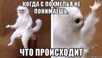 когда с похмелья не понимаешь, что происходит