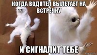 когда водятел вылетает на встречку и сигналит тебе