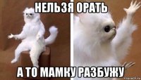 нельзя орать а то мамку разбужу