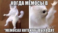 когда мемосы в "мемосах котеича" выходят