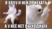 я хочу к ней приехать а у неё нет выходных