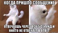 когда пришло сообщение отвечаешь через 0,365 секунд и никто не отвечает в ответ