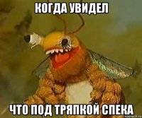 когда увидел что под тряпкой спека
