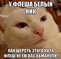 у флеша белый ник как шерсть этого кота флеш не ёж вас обманули!