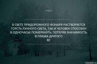 В свете придорожного фонаря растворяется горсть лунного света, так и человек способен в одночасье померкнуть, потеряв значимость в глазах другого
BZ