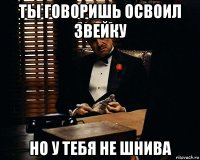 ты говоришь освоил звейку но у тебя не шнива