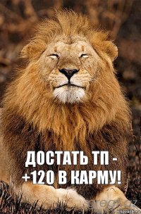 достать тп -
+120 в карму!