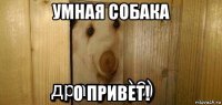 умная собака о привет!