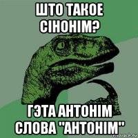 што такое сінонім? гэта антонім слова "антонім"