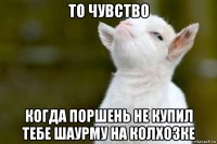 то чувство когда поршень не купил тебе шаурму на колхозке