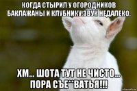 когда стырил у огородников баклажаны и клубнику:звук недалеко. хм... шота тут не чисто... пора съе**ватья!!!