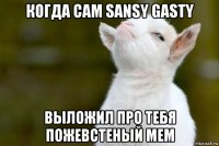 когда сам sansy gasty выложил про тебя пожевстеный мем