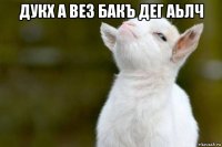 дукх а вез бакъ дег аьлч 