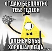 отдаю бесплатно тебе гедеон оленьи зубы хорошая вещь
