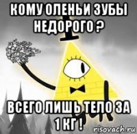 кому оленьи зубы недорого ? всего лишь тело за 1 кг !