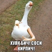  хуяк бич! соси кирпич!