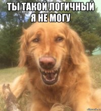 ты такой логичный я не могу 