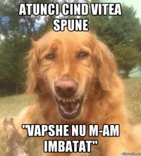 atunci cind vitea spune "vapshe nu m-am imbatat"