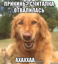 прикинь? считалка отвалилась ахаххаа.......