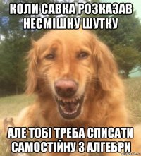 коли савка розказав несмішну шутку але тобі треба списати самостійну з алгебри