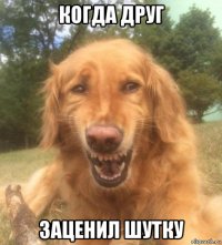 когда друг заценил шутку